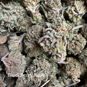 Blackberry Kush