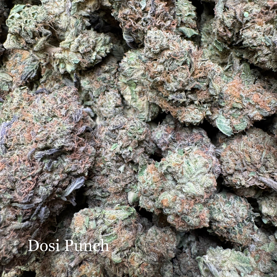 Indoor Dosi Punch