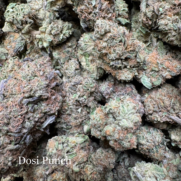 Indoor Dosi Punch