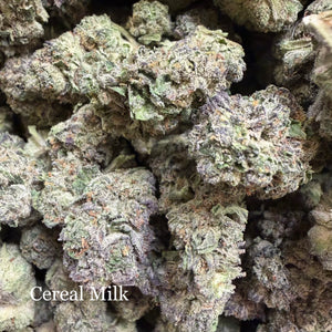 Indoor Cereal Milk Exotics