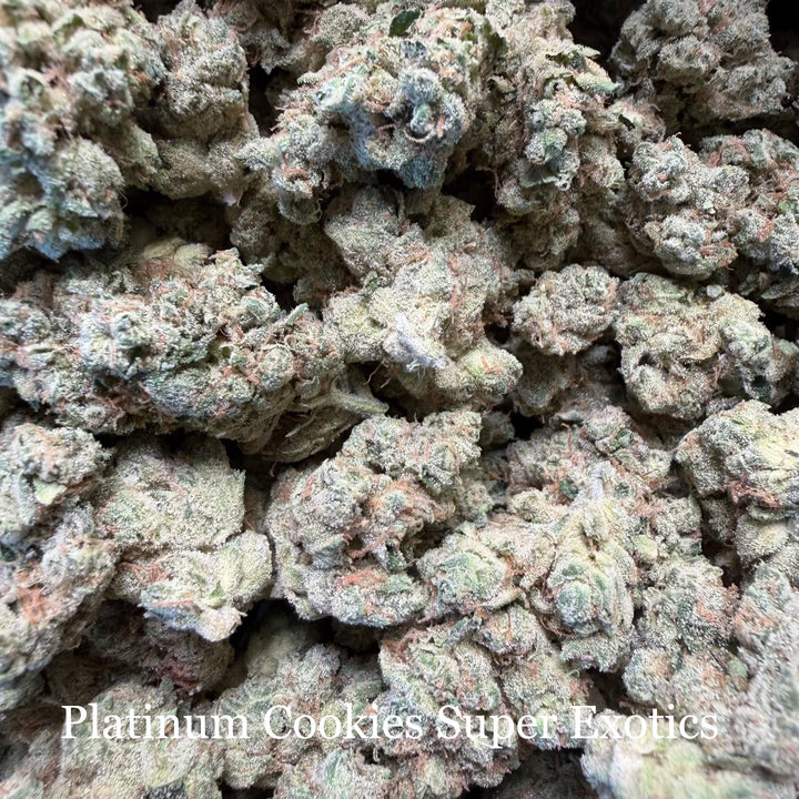 Indoor Platinum Cookies - Super Exotics