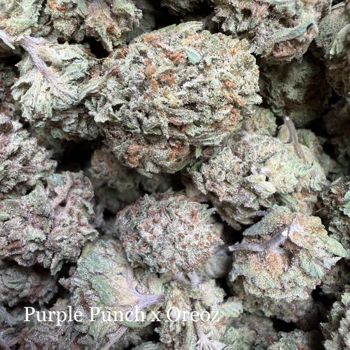 Purple Punch x Oreoz
