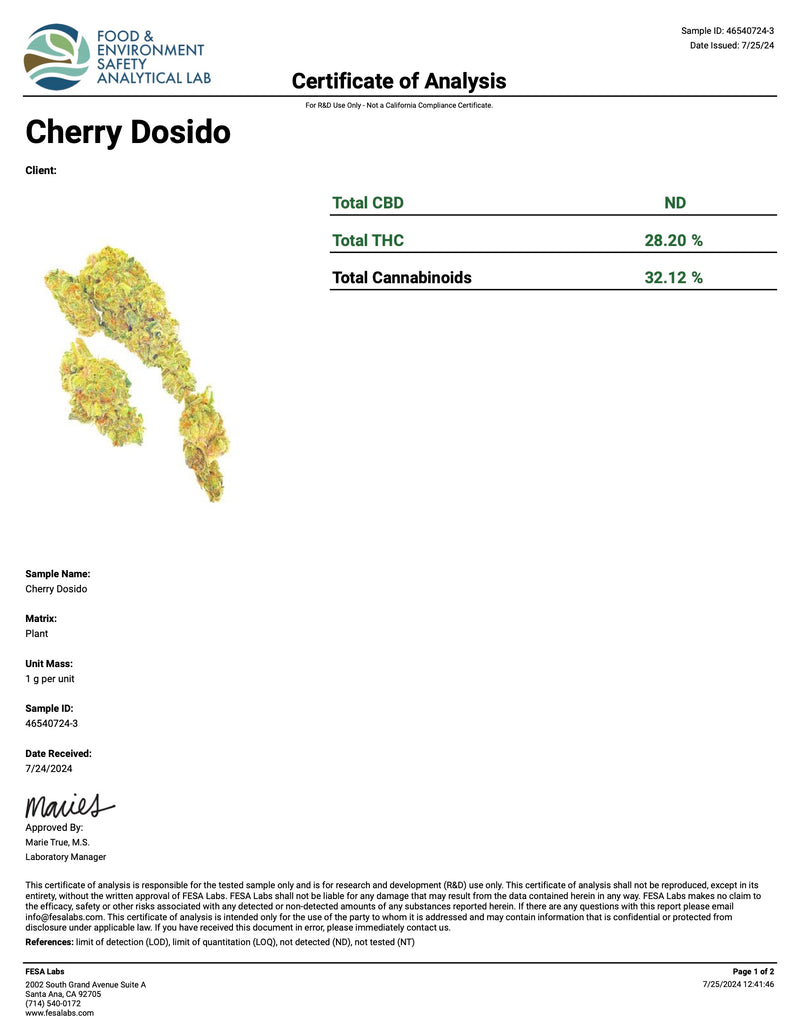 Indoor Cherry Dosido