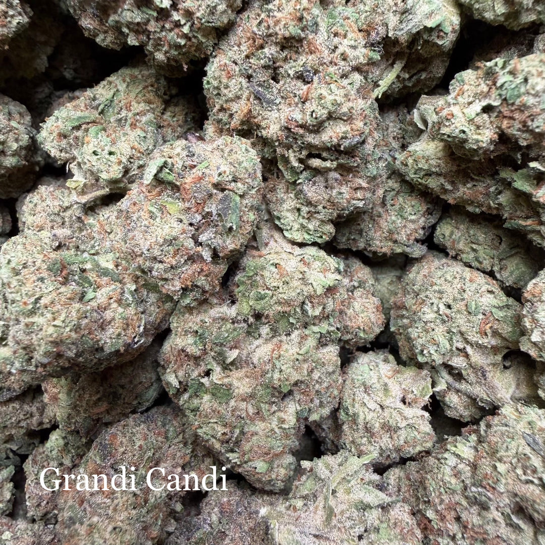 Indoor Grandi Candy