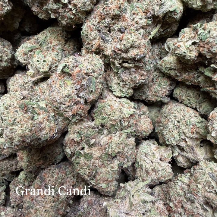 Indoor Grandi Candy