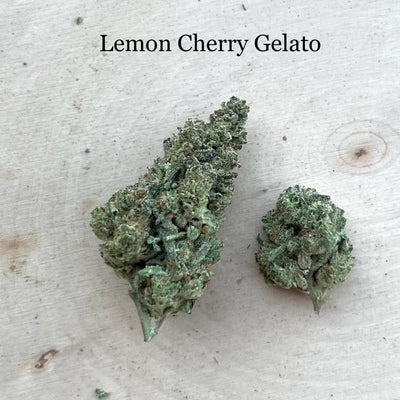 Indoor Lemon Cherry Gelato