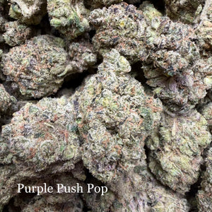 Indoor Purple Push Pop - Super Exotics
