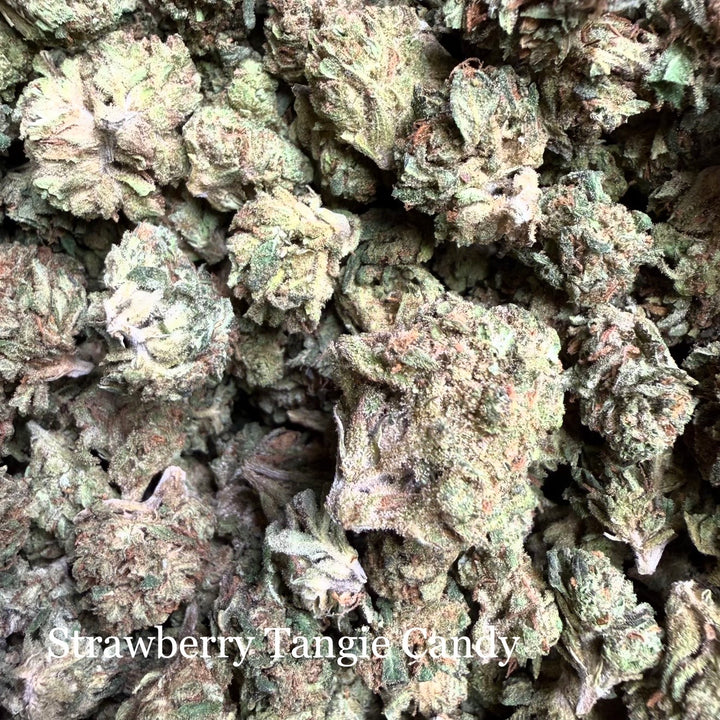 Strawberry Tangie Candy