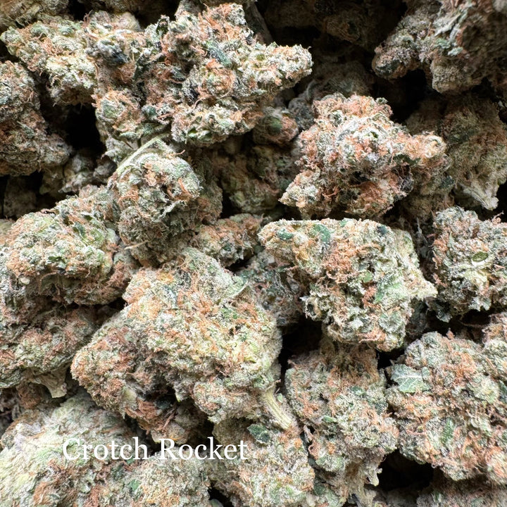Indoor Crotch Rocket - Exotics