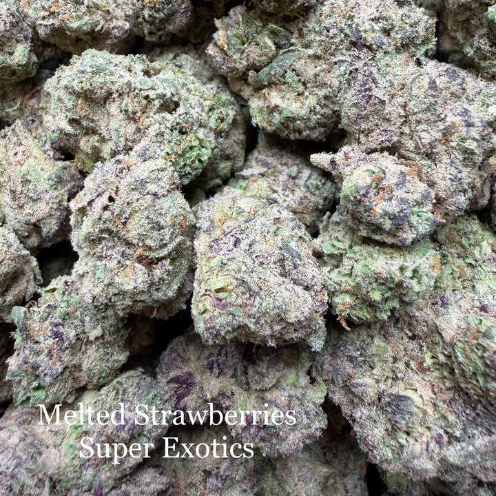 Indoor Melted Strawberries - Super Exotics