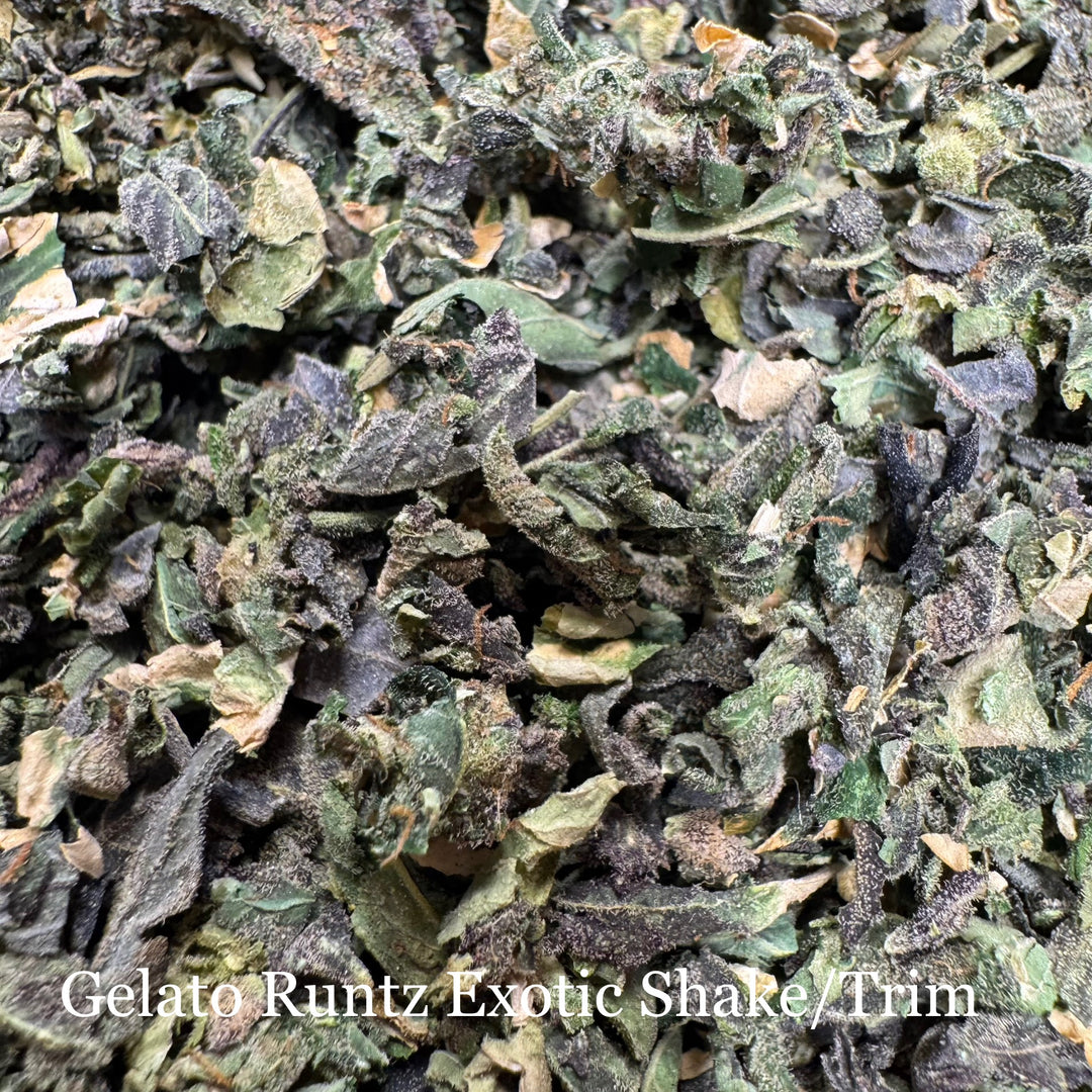 Indoor Gelato Runtz Exotic Shake/Trim