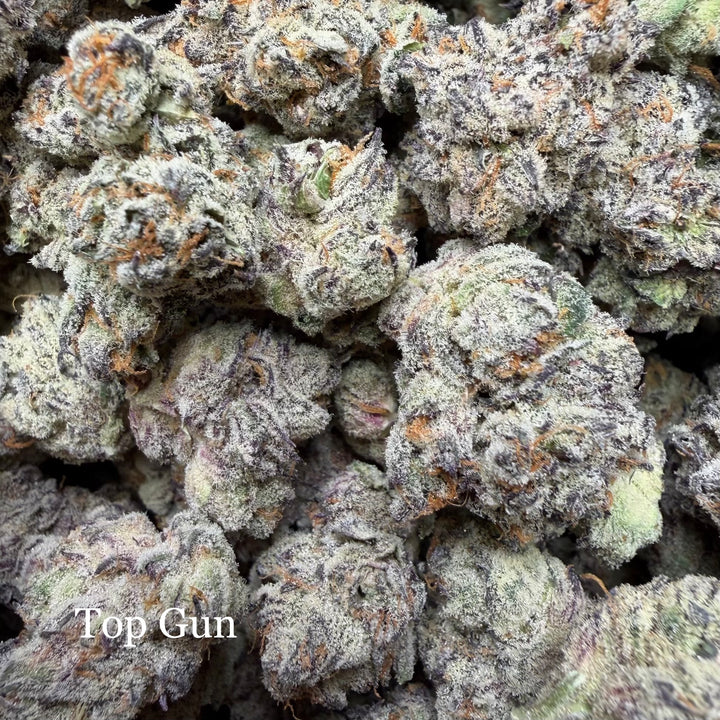 Indoor Top Gun - Super Exotics