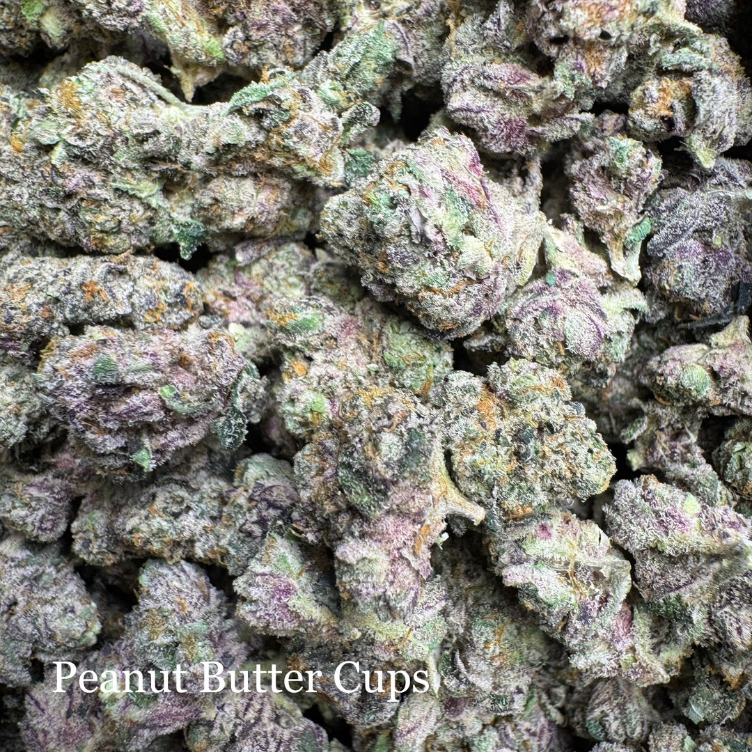 Indoor Peanut Butter Cups  - Exotics