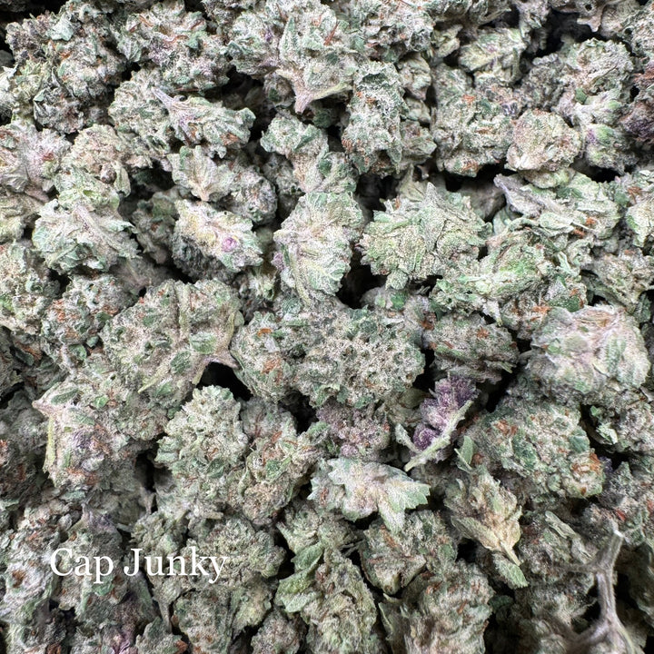 Cap Junky