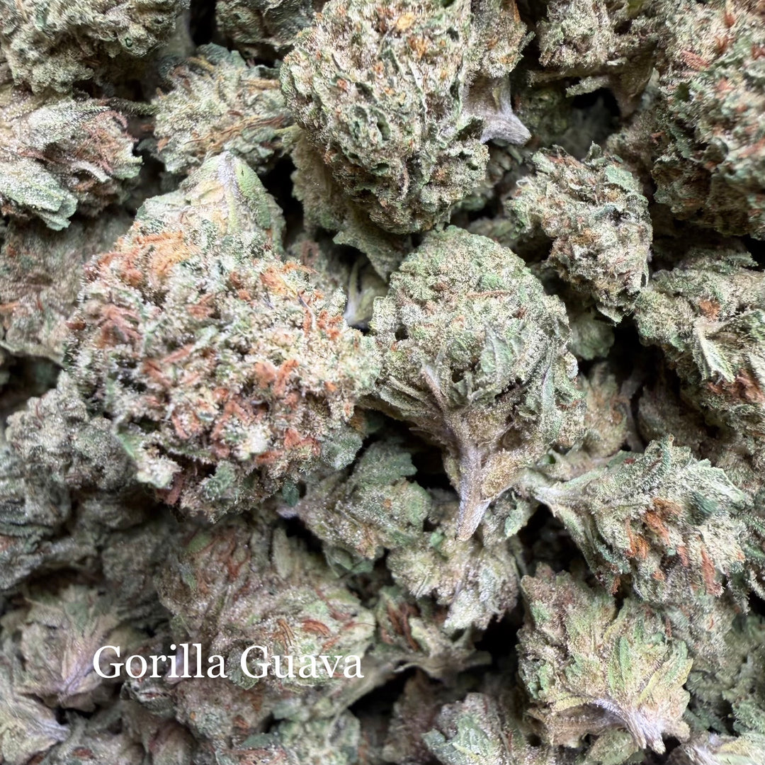 Gorilla Guava