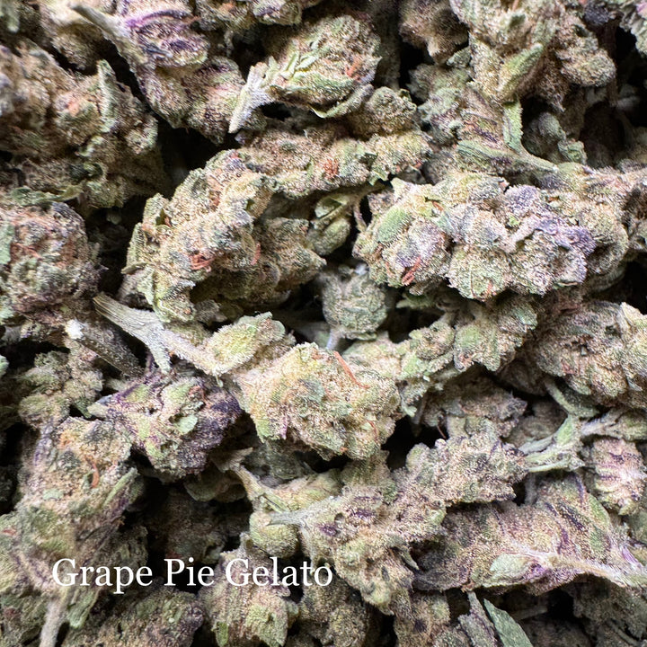 Grape Pie Gelato