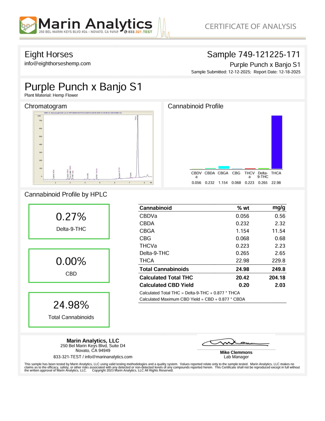 Purple Punch x Banjo