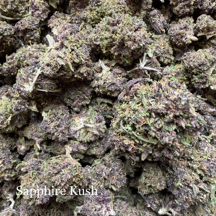 Sapphire Kush