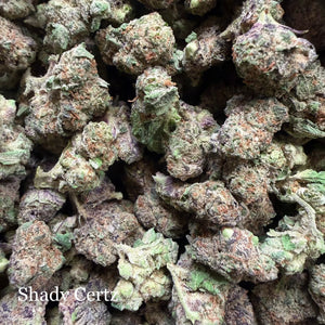 Indoor Shady Certz Exotics