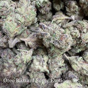 Indoor Oreo Blizzard - Super Exotics