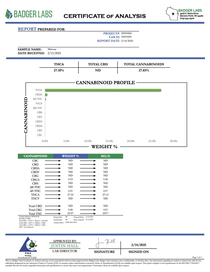 Indoor Mimosa Exotics