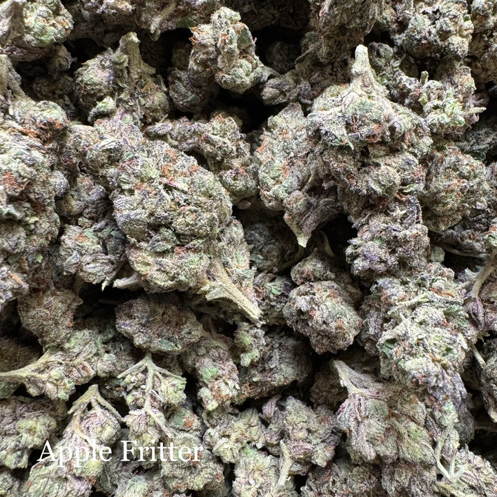 Indoor Apple Fritter