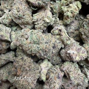 Indoor Antidote - Super Exotics