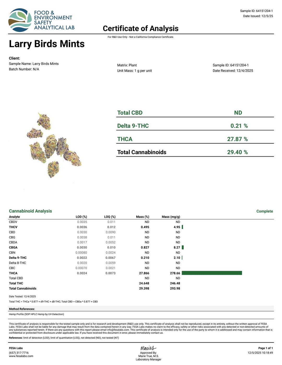 Indoor Larry Birds Mints