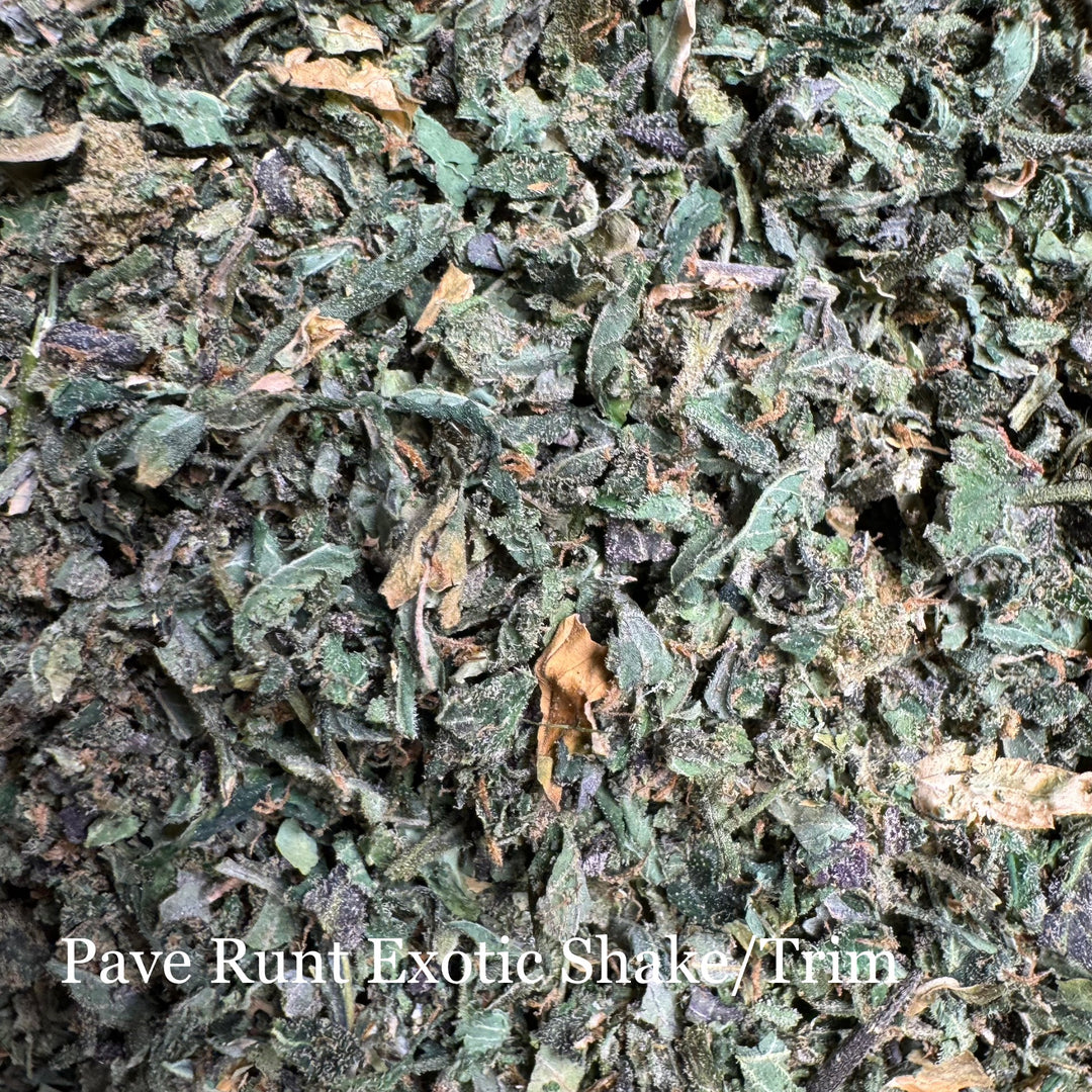 Indoor Pave Runt Shake/Trim