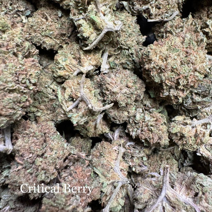 Critical Berry