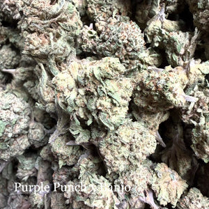 Purple Punch x Banjo