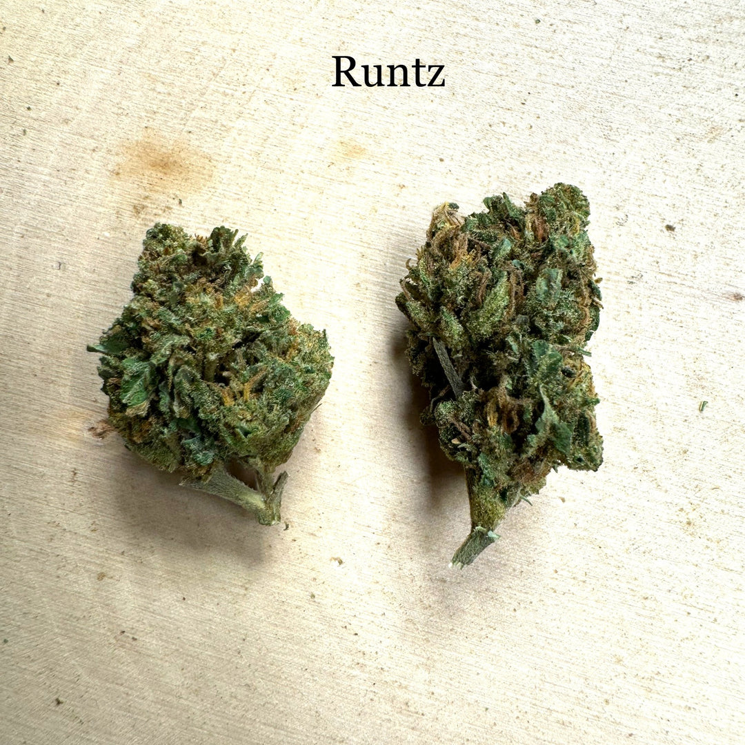 Runtz