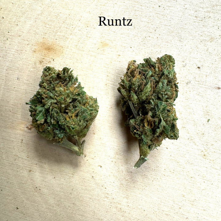 Runtz
