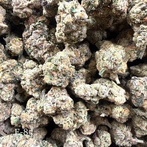 Indoor E-85 - Super Exotics