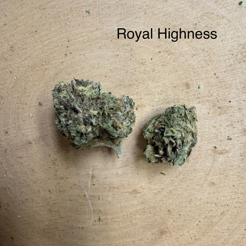 Royal Highness