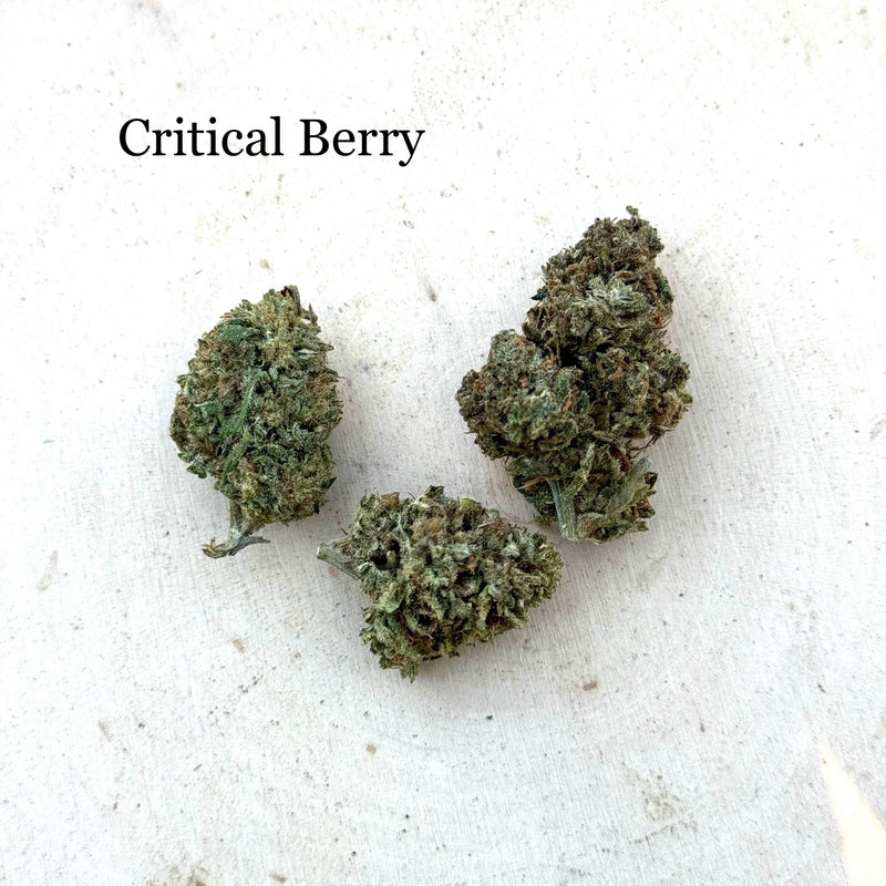 Critical Berry