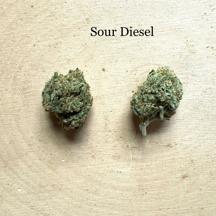 Sour Diesel 2