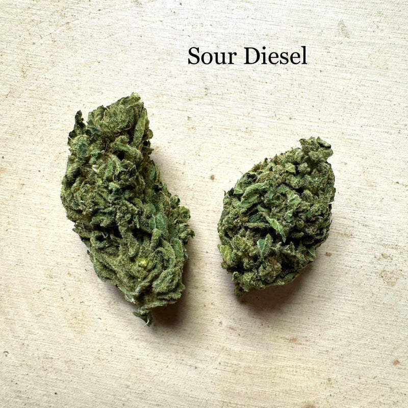 Sour Diesel