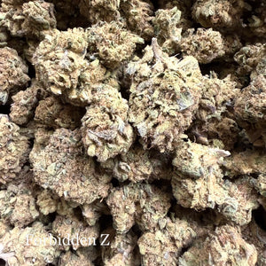 Indoor Forbidden Z