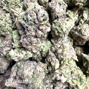 Indoor Garlicanna - Super Exotics