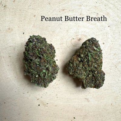 Indoor Peanut Butter Breath
