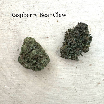 Raspberry Bear Claw