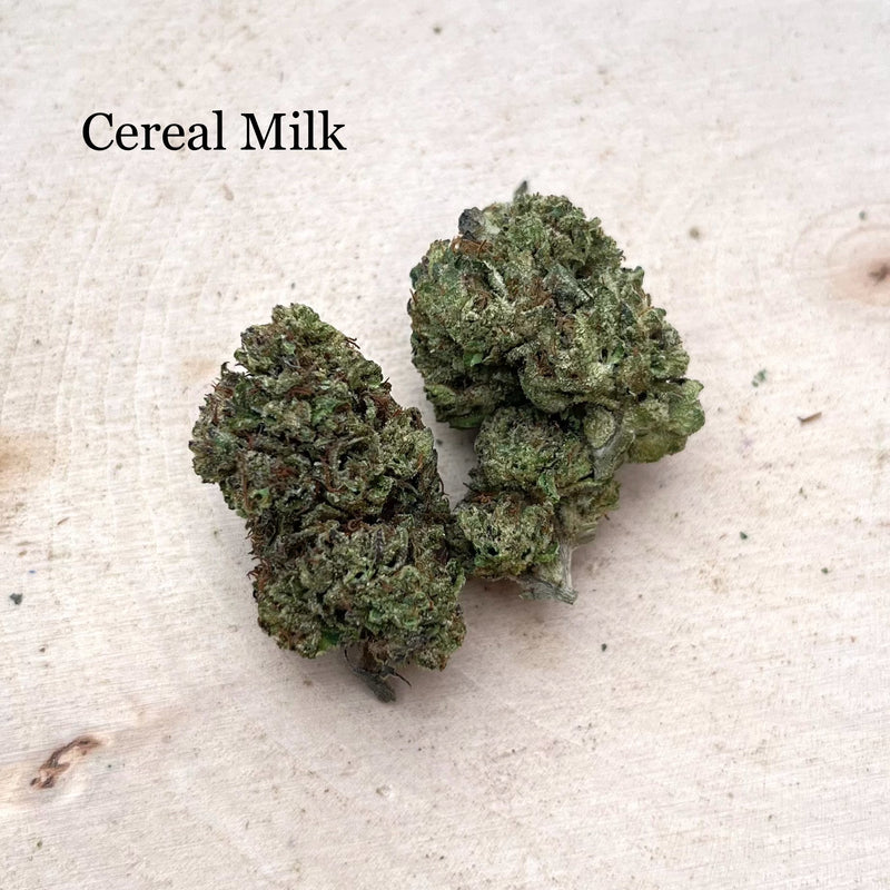 Indoor Cereal Milk