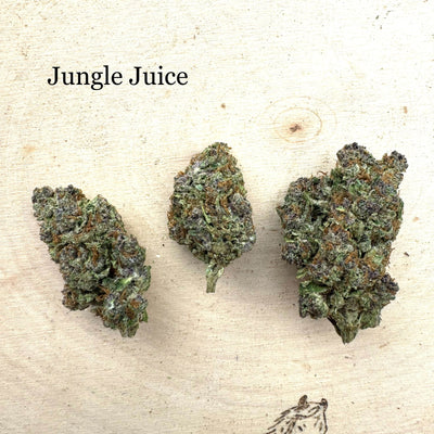Indoor Jungle Juice
