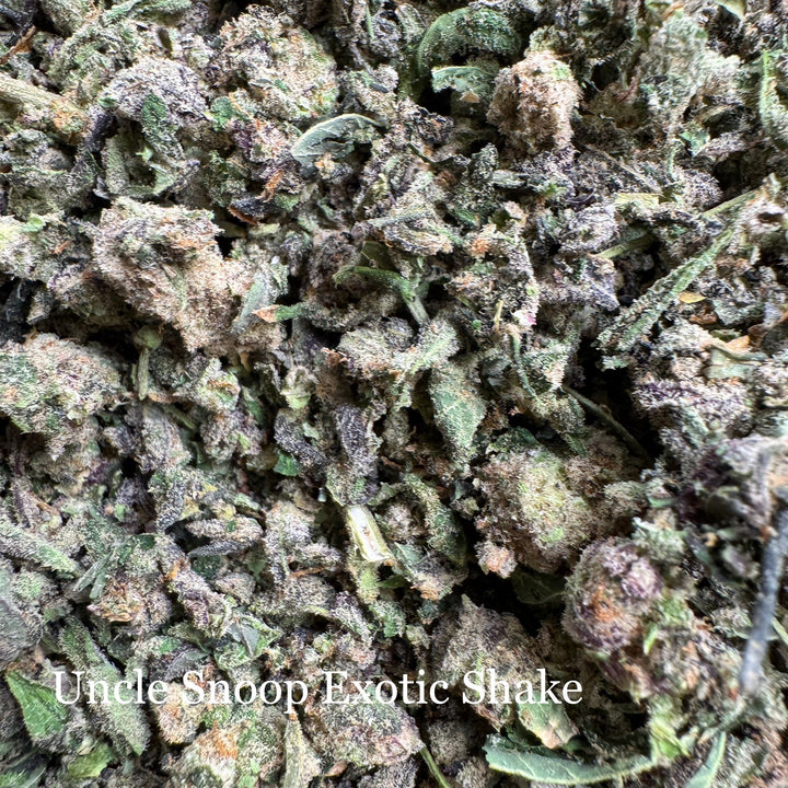 Indoor Uncle Snoop Exotic Shake