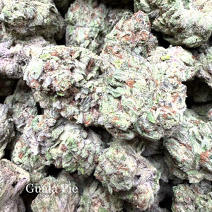 Indoor Guala Pie - Super Exotics