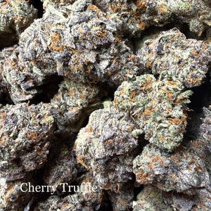 Indoor Cherry Truffle - Super Exotics