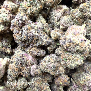Indoor Night Fire - Super Exotics