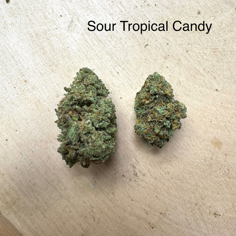 Sour Tropical Candy