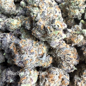Indoor Blueberry Muffins - Super Exotics